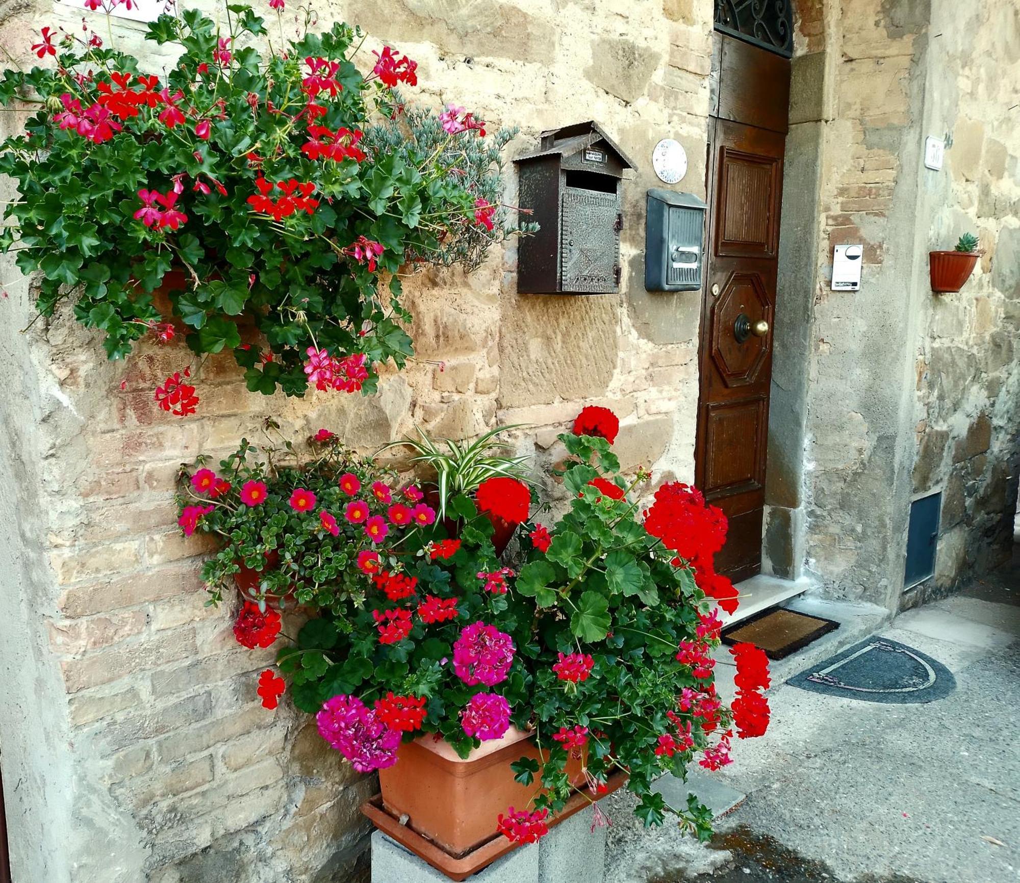 Apartamento Casa Tarrini Chianni Exterior foto